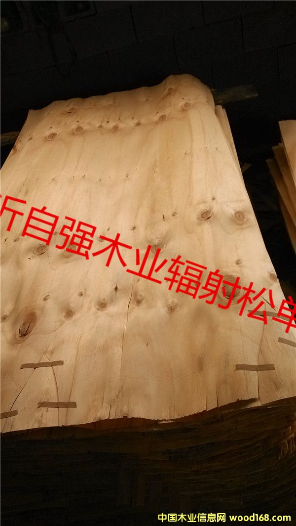 ݗ�����aƤ