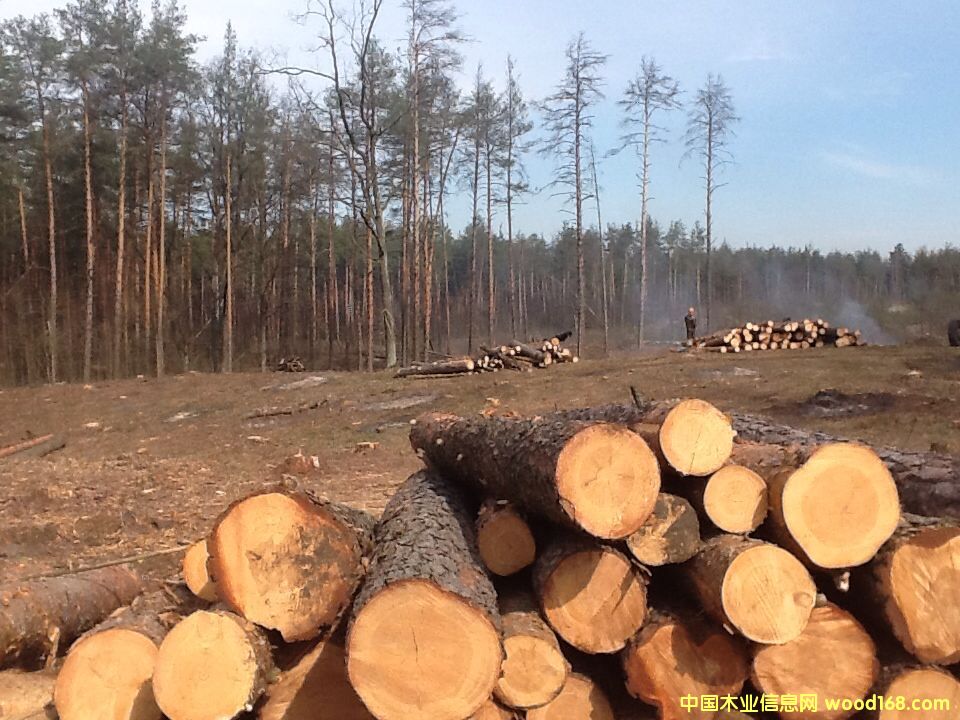 �����m��ɼ�������ɡ���ľԭľ�����