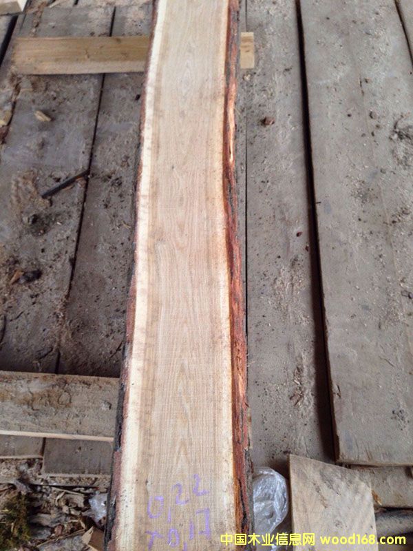 ���_˹�M(j��n)����ľ䏲�