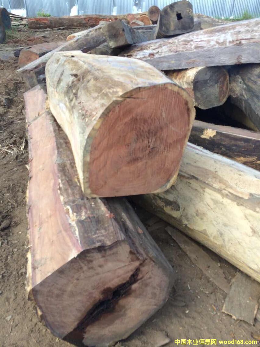 �����R韱ⶹ