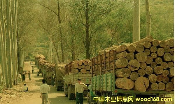 ��˼�ְ�Ư���^���J�Ж|