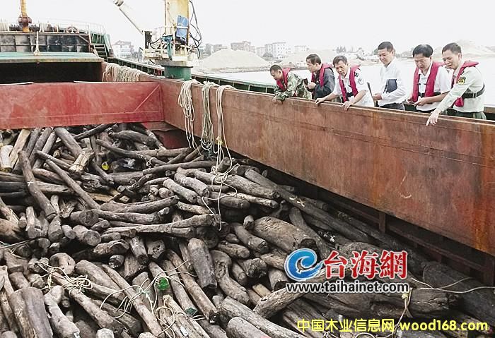 �����ƫ@7000�f(w��n)�tľ��˽�� ϵ�Ї�(gu��)���P(gu��n)ʷ�����