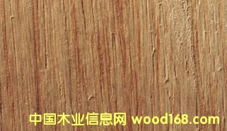 ľ�İٿƣ��R��(l��i)����˹����ľ��Merpauh)