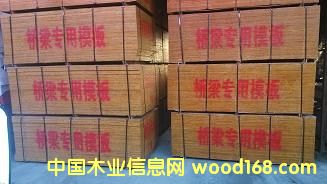 ������15mm��Ԕ��(x��)��B