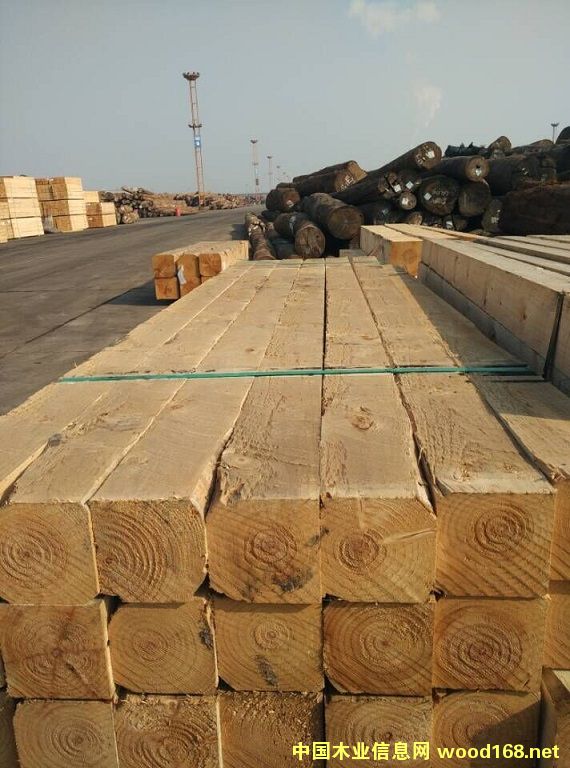 ݗ���ɴ�ľ��Ԕ��(x��)��B