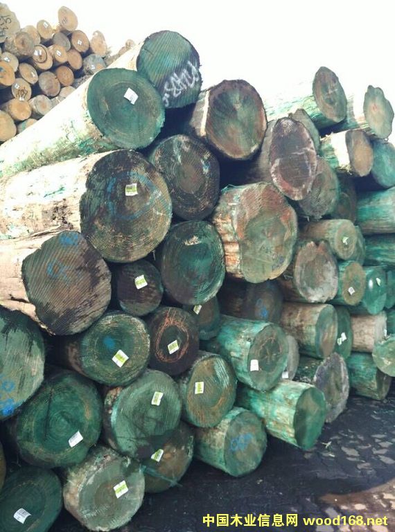 �����m�ɟo��(ji��)����ԭľ��Ԕ��(x��)��B