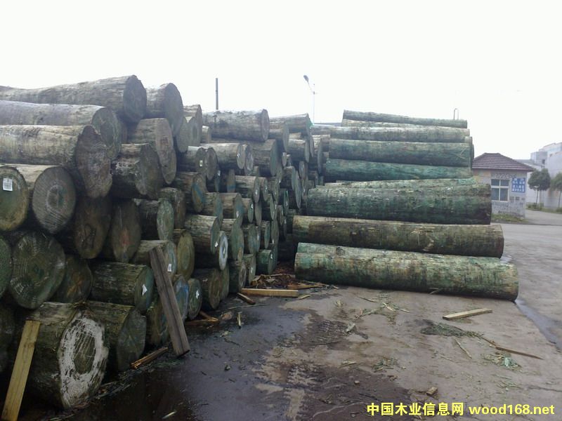 �����m�ɟo��(ji��)ԭľ