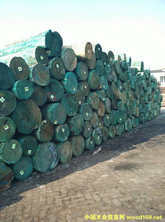 �����m�ɟo��(ji��)����ԭľ��Ԕ��(x��)��B