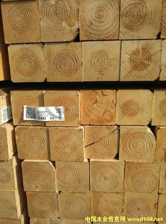 ݗ���ɴ�ľ��Ԕ��(x��)��B