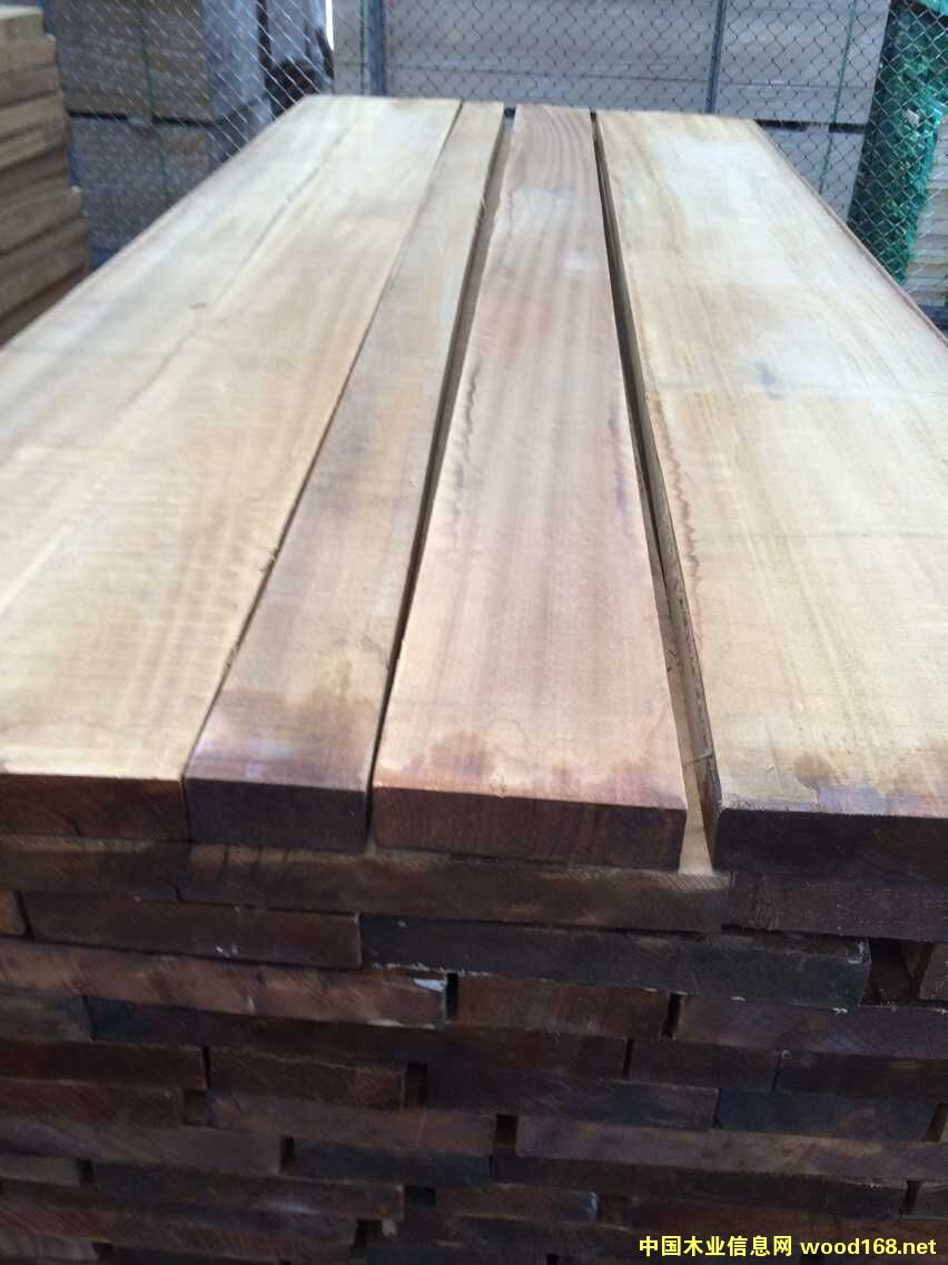 水煮柚木的詳細(xì)介紹