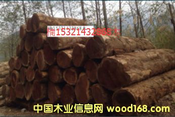 �ľ��Ԕ��(x��)��B