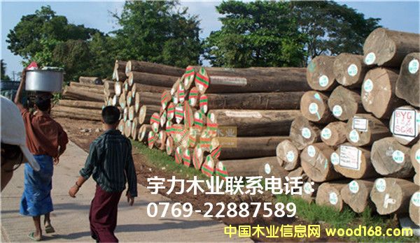 ��ľ���Q(m��o)�ĵ�Ԕ��(x��)��B