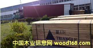 ���V��Ԕ��(x��)��B