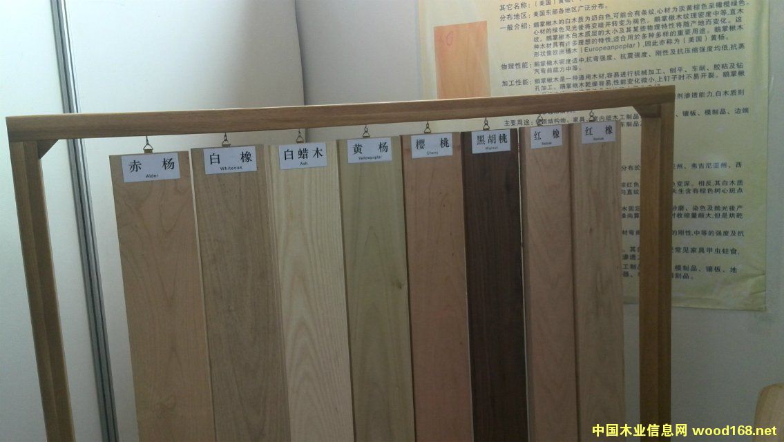 Ӳľ��ĵ�Ԕ��(x��)��B