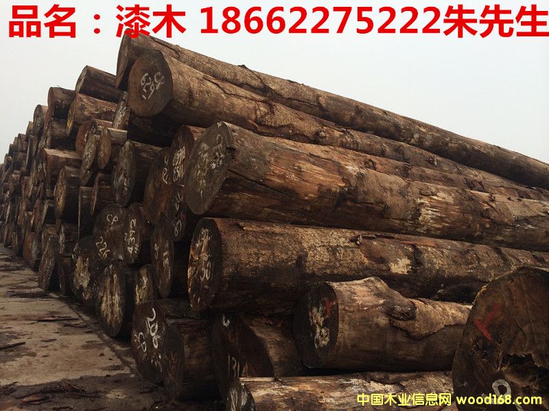 ��ľ��Ԕ��(x��)��B