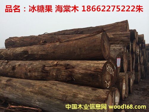 ���ǹ�������ľ��