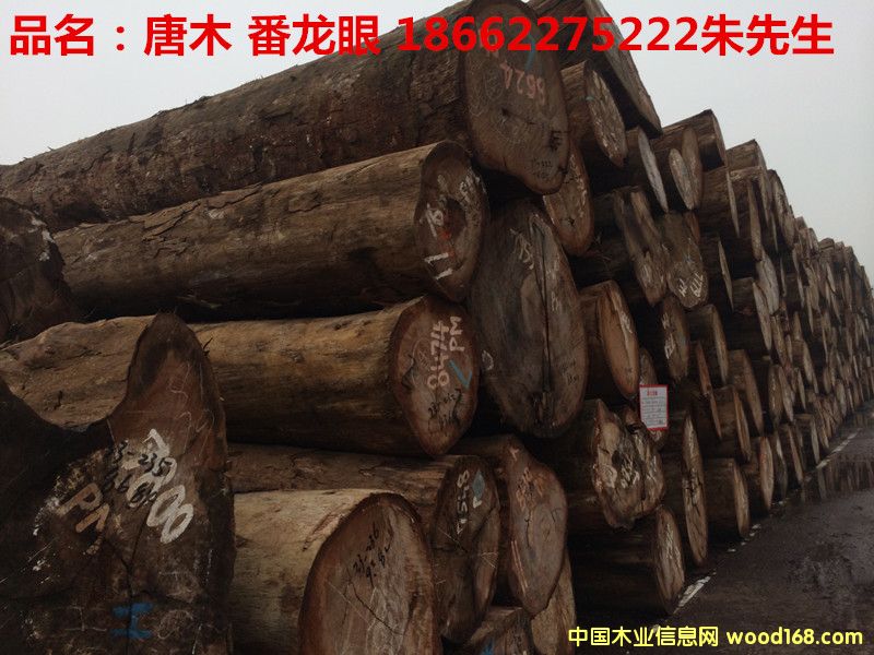 �����ۣ���ľ����Ԕ��(x��)��B