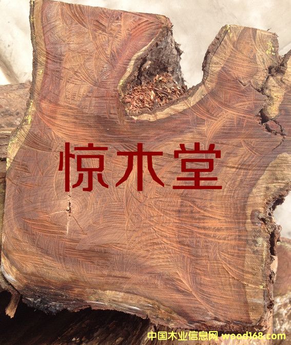 �ȽB�����̴��Ԕ����B