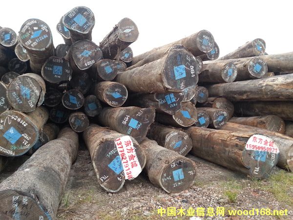 �u��ľ��Ԕ��(x��)��B