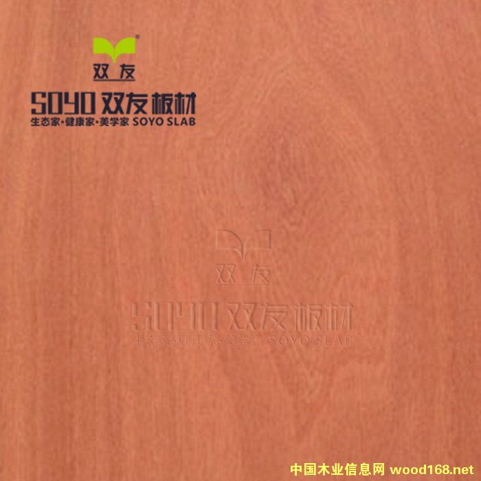 SOYO����������