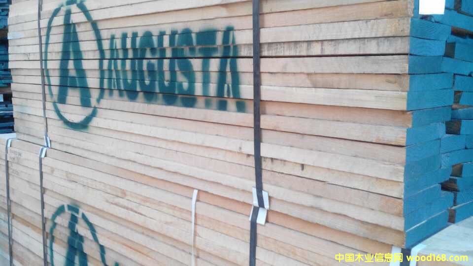 紅橡的詳細介紹