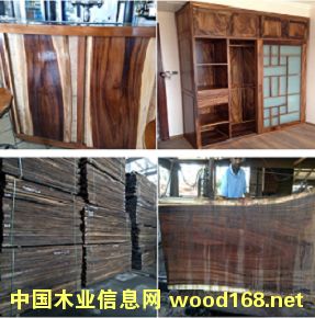 黑胡桃木的詳細(xì)介紹