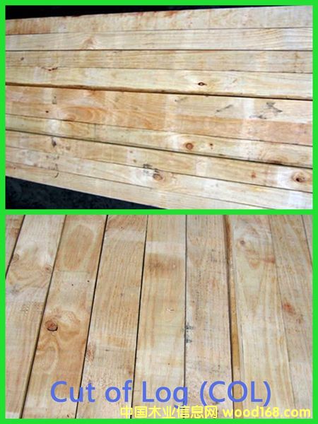 PAN PAC���Scol�Ҿ߼�(j��)