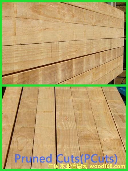 PAN PAC���SPCuts��(j��)