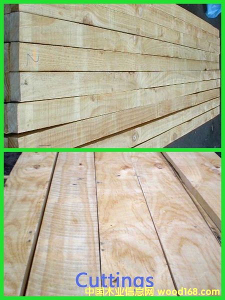 PAN PAC���Scuts�ȼ�(j��)