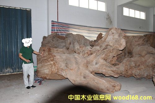 �����m5�f��ꎳ�ľ ���^��Ԕ��(x��)��B