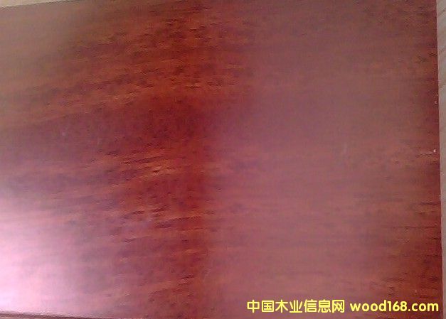 ���޲��}��ذ��Ԕ��(x��)��B