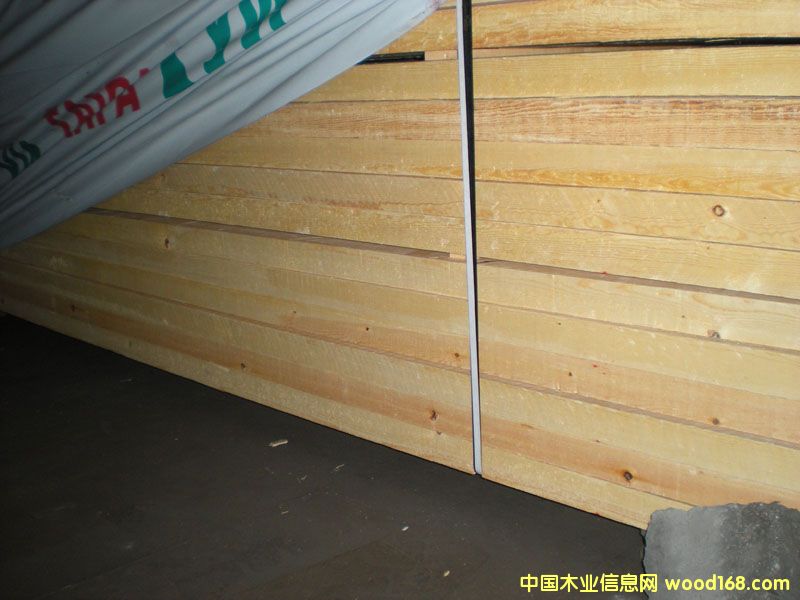 樟子松的詳細(xì)介紹