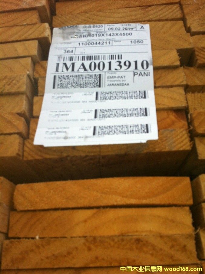 輻射松的詳細(xì)介紹