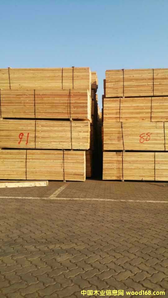 ���_˹����������~�ɰ�ĵ�Ԕ��(x��)��B