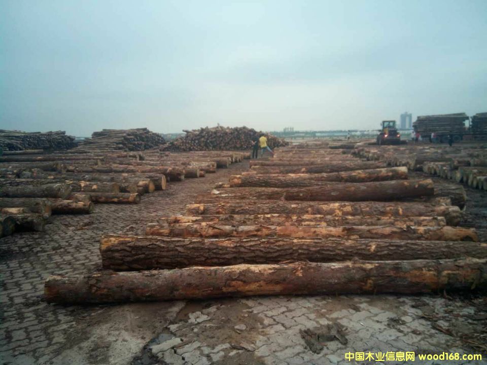 �����m�����ɵ�Ԕ��(x��)��B