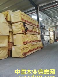 ��ľ��ĵ�Ԕ��(x��)��B