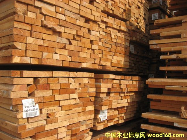 花旗的詳細(xì)介紹