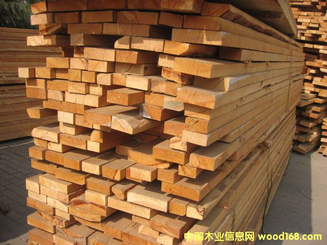 花旗的詳細(xì)介紹