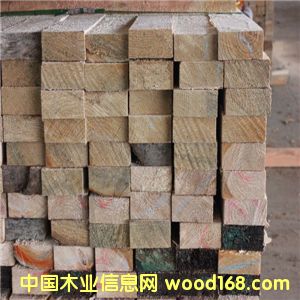 �Fɼ����ľ����Ԕ��(x��)��B