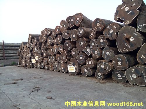 �u���Ԕ��(x��)��B