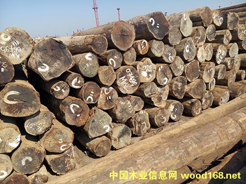 ���²��}���Ԕ��(x��)��B