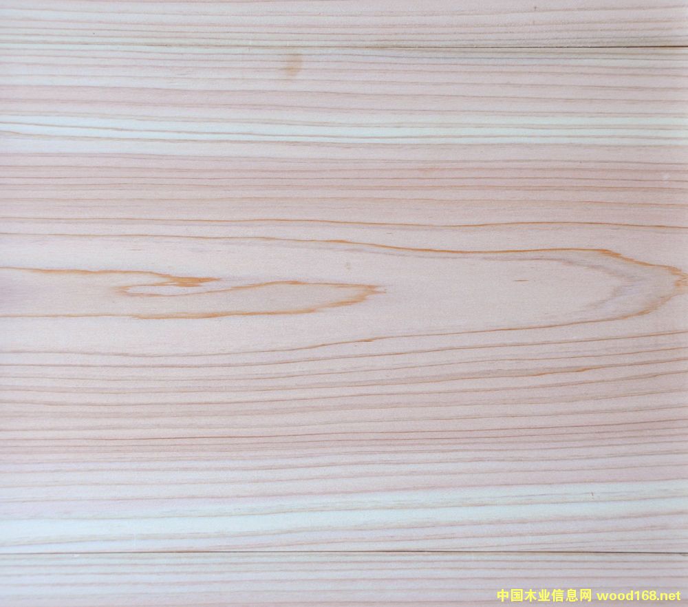 �ձ��uľ��ľ�ĵ�Ԕ����B