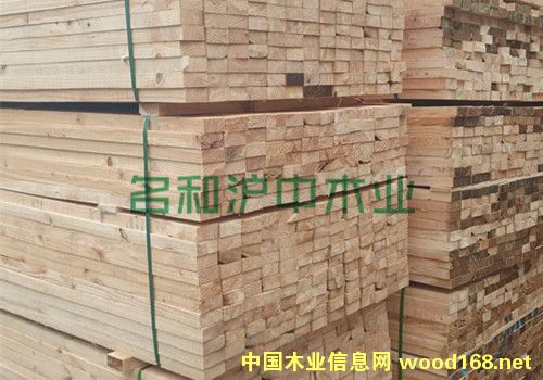 �Fɼ����ľ����Ԕ��(x��)��B