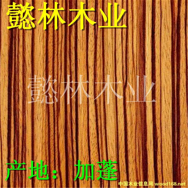 С���Rľ/����ľ/ِЬľ��/����ľ��