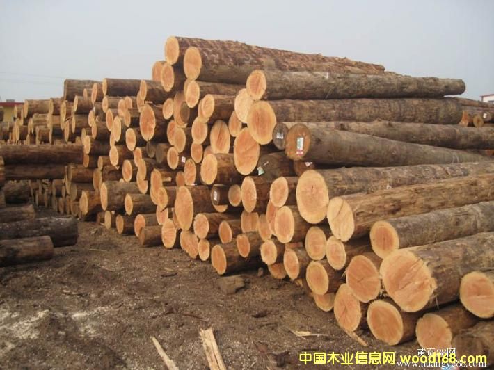 �Fɼ���W�ɵ��M��ľ�ĵ�Ԕ����B