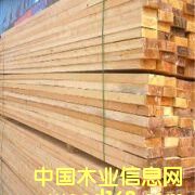 ����ľ����Ԕ����B