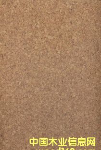 ܛľ�ذ�CF084011