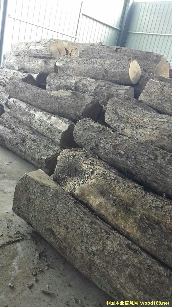 �����̴��Ԕ����B