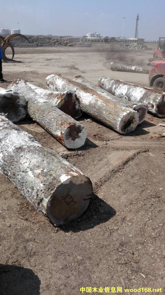 �t���Ԕ����B