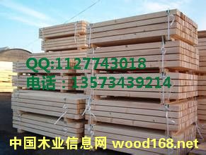 �z�ϰ� �бP�î��ζ��Ӱ� �бP���w���Ԕ����B